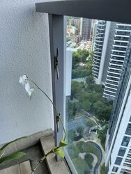 Residences @ Evelyn (D11), Condominium #563327691